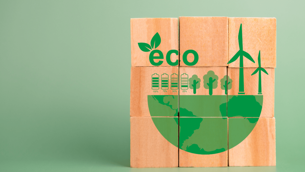 Eco in E-commerce