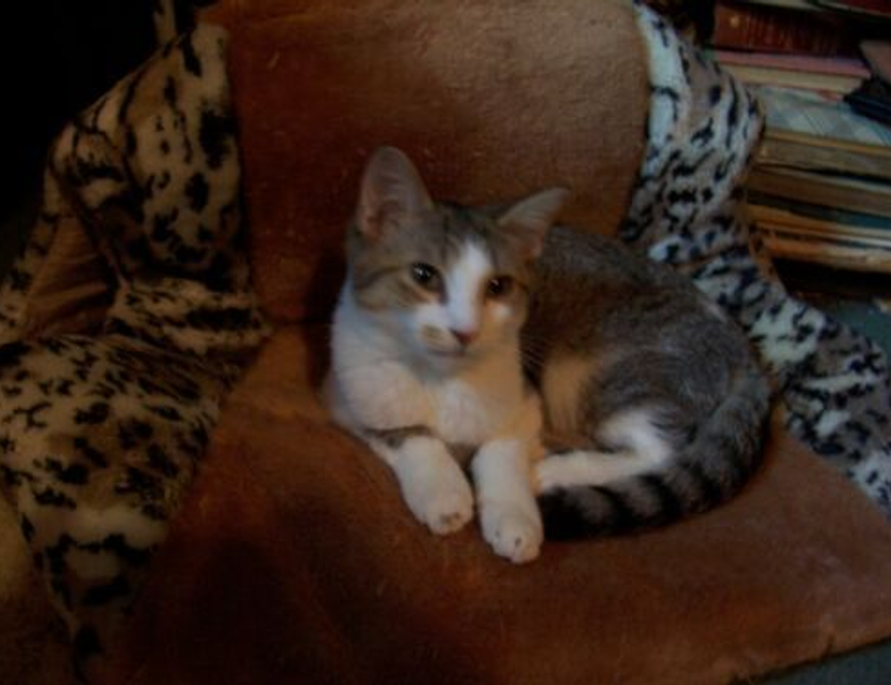 gifts for the family lwspeakgift