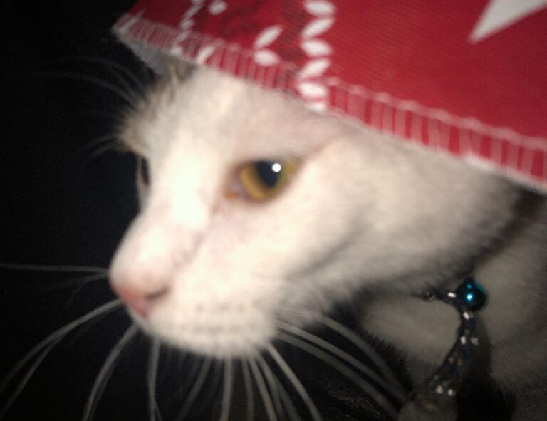 lwspeakgift gifts for her from letwomenspeak