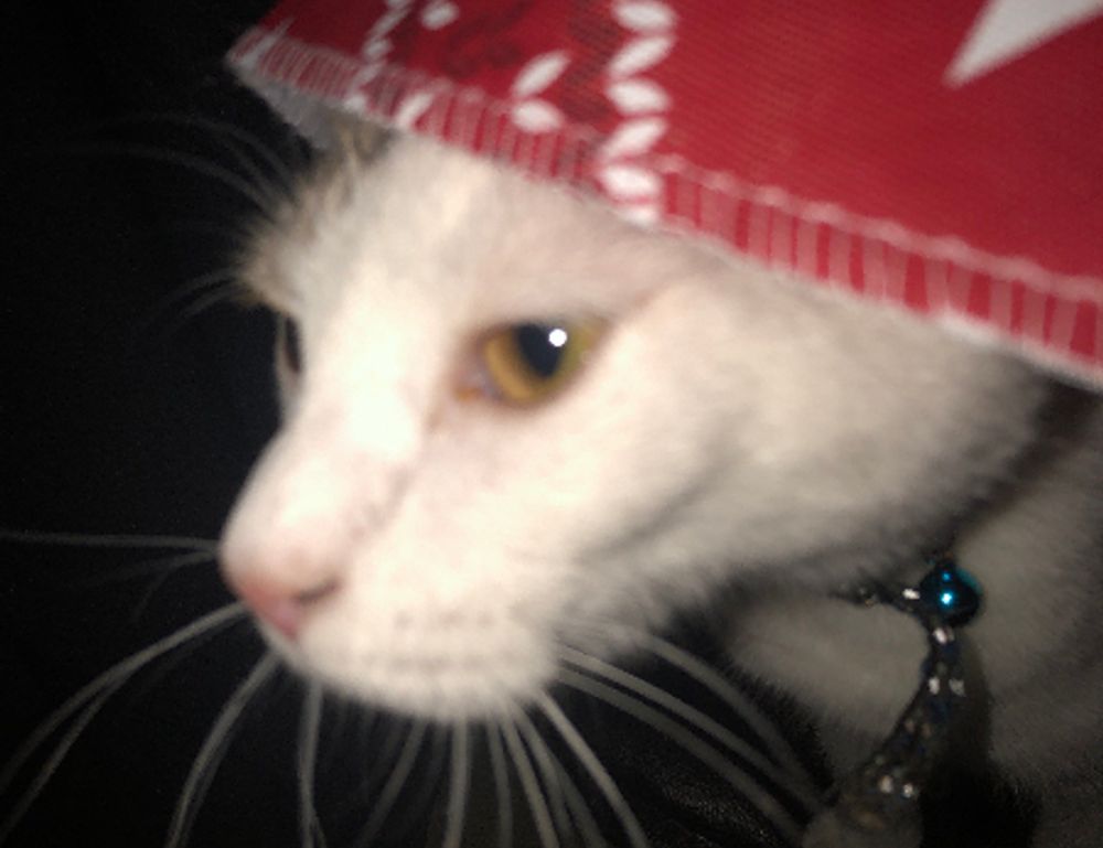 lwspeakgift gifts for her from letwomenspeak