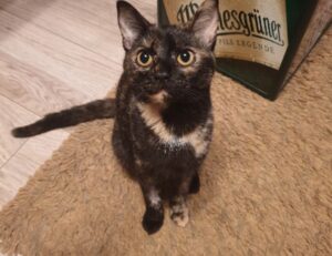 what to give for gifts lwspeakgift