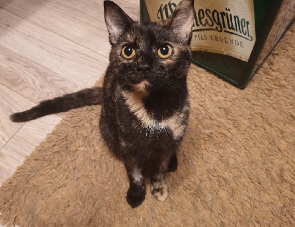 what to give for gifts lwspeakgift