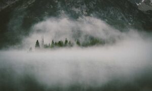 which gift cards are best lwspeakgift