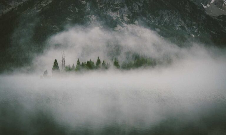 which gift cards are best lwspeakgift