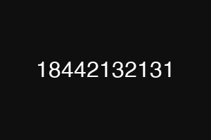 18442132131