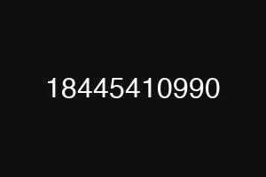 18445410990