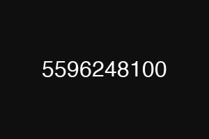 5596248100