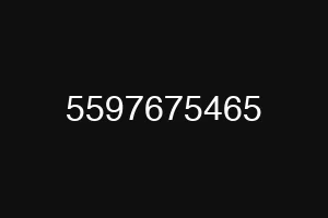 5597675465