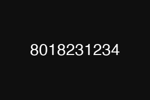 8018231234