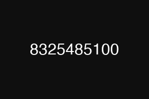 8325485100