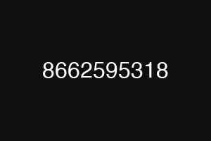 8662595318