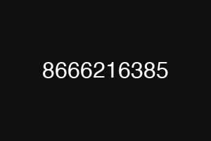 8666216385