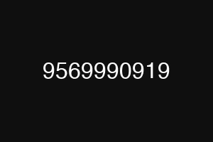 9569990919
