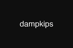 dampkips