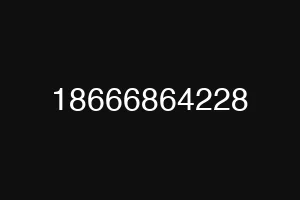 18666864228