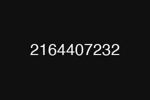 2164407232