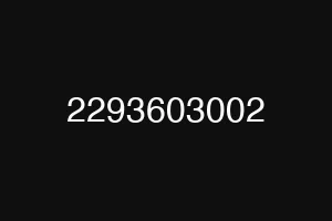 2293603002
