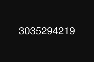 3035294219