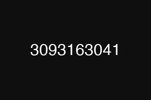3093163041
