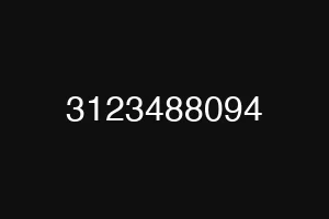 3123488094