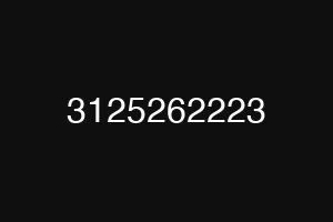 3125262223