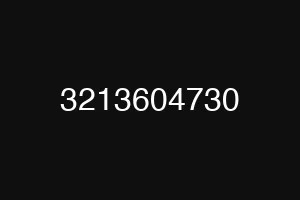 3213604730