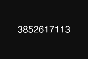 3852617113