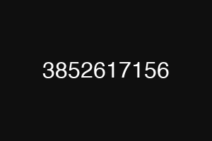 3852617156