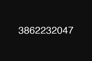 3862232047