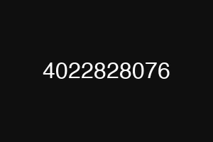 4022828076