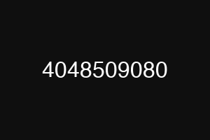 4048509080