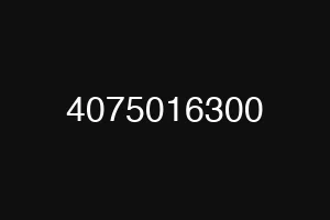 4075016300