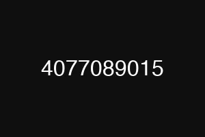 4077089015