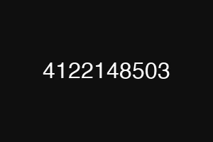 4122148503