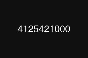 4125421000
