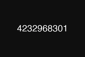 4232968301