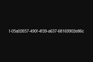 t-05a02657-490f-4f39-a637-68169902e86c